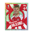Topps EURO 2024 Stickers - Starter Bundle